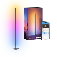 RGBICW Smart Floor Lamp Basic